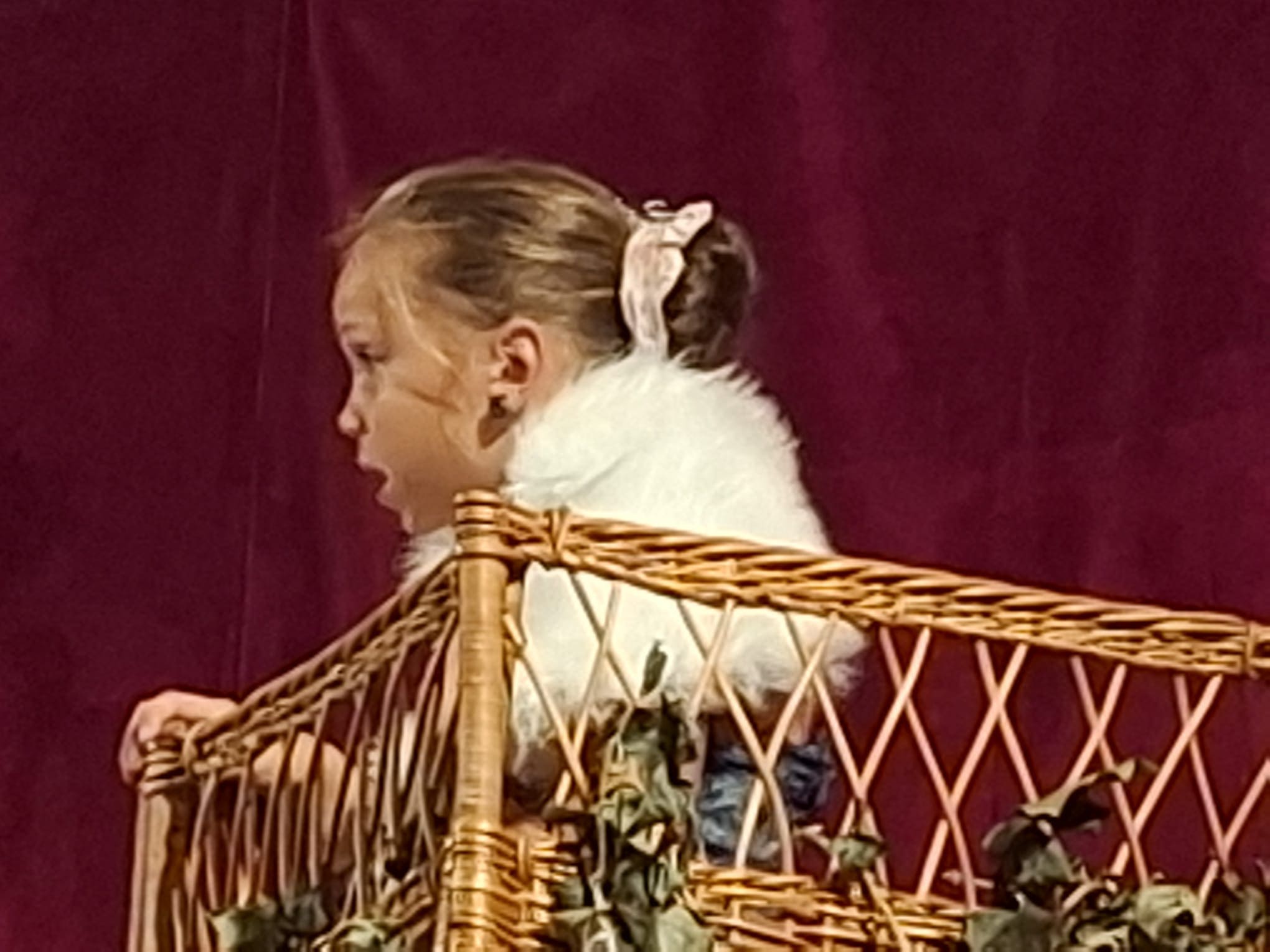 Spectacle fin d'année - photo 3